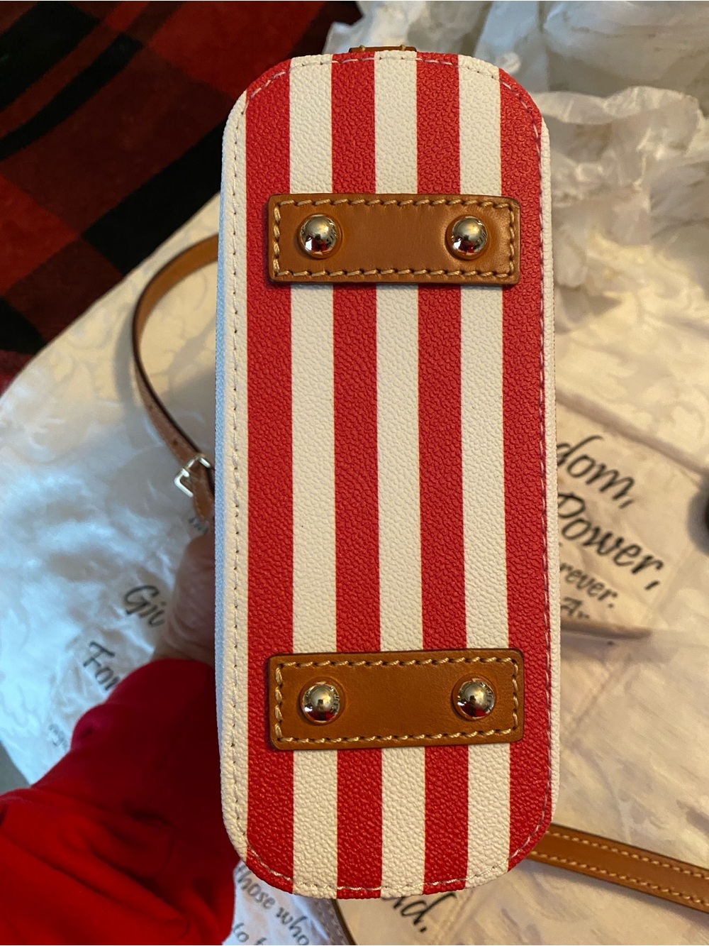 Dooney & Bourke Red and Cream Striped Crossbody Bag NWT - Picture 8 of 16